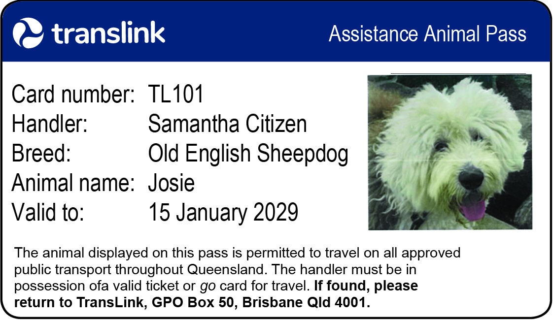 Translink Assistance Animal Pass dog (front)​
